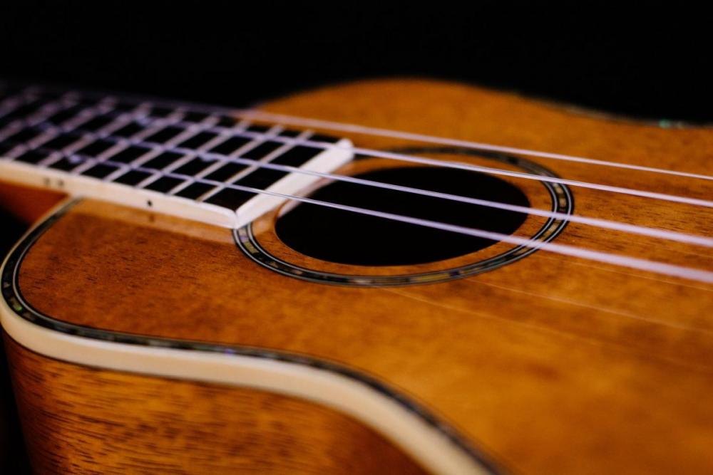ukulele2